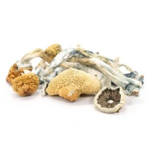 Blaue Meanies-Pilze
